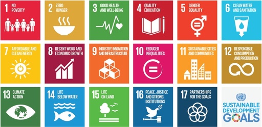 Globale Nachhaltigkeitsziele der Vereinten Nationen (SDGs) (digital)